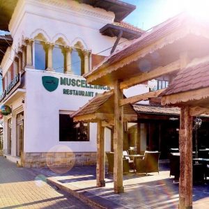 Musceleanca Restaurant & Pub - Câmpulung