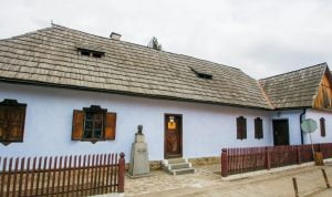 Casa George Coşbuc