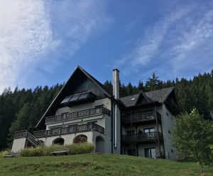 Pensiunea Bucovina Lodge - Vama