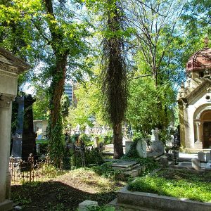 Cimitirul Bellu - București