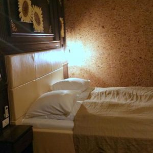 Hotel Golden Spirit - Băile Herculane