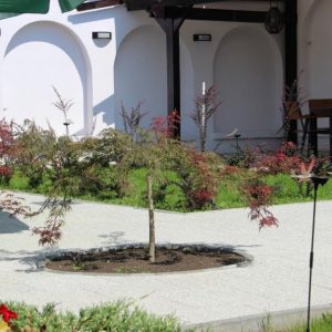Maisonette Restaurant - Câmpulung