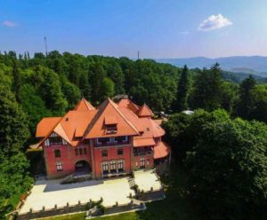 Palatul Știrbei - Dărmănești