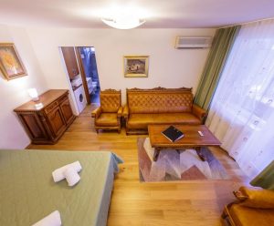 Rivulus Vintage Apartment - Baia Mare